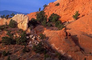 Garden Rocks